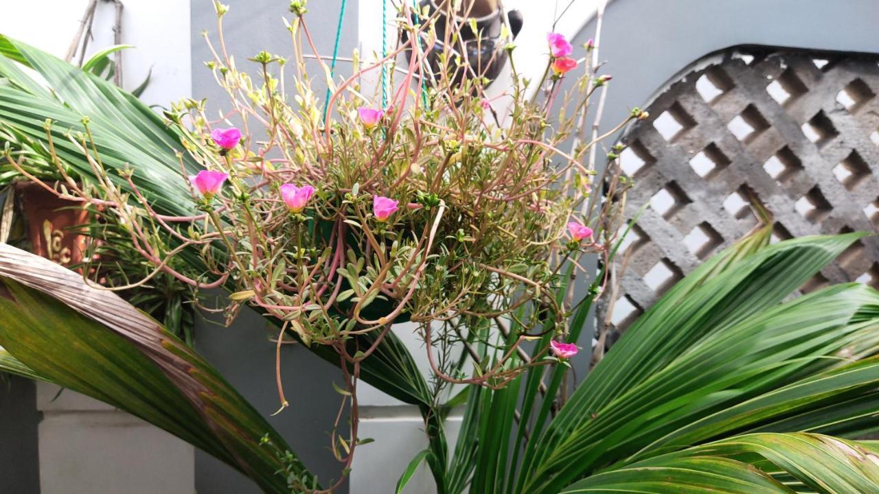 Homestay Nha Muoi 퀴논 외부 사진